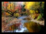 Autumn Stream