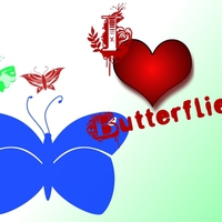 I Love Butterflies