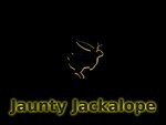 Jaunty Jackalope