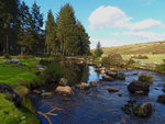 Dartmoor River
