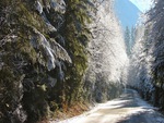 winter road