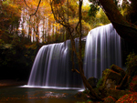 Autumn Waterfalls