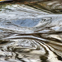 river through rapids, reflections of trees