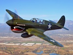 P40 Warhawk