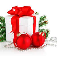 Christmas gift