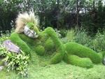 grass woman