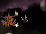 â€áƒ¦*â€¢.¸¸.â€¢*â–â€ night-of-the-butterflyâ€áƒ¦*â€¢.¸¸.â€¢*â–â€