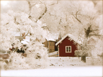 red house in frosted woods