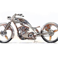 paul jr Mustang Chopper