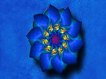 â€áƒ¦*â€¢.¸¸.â€¢*â–â€ blue-fractal-flower â€áƒ¦*â€¢.¸¸.â€¢*â–â€