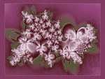 â€áƒ¦*â€¢.¸¸.â€¢*â–â€ Fractal_Blooms â€áƒ¦*â€¢.¸¸.â€¢*â–â€