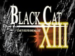 Black cat