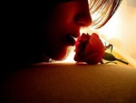 kiss a Rose