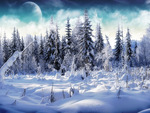 winter snowy forest