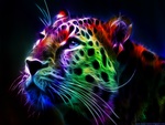 RAINBOW LEOPARD