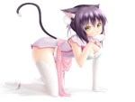 Neko