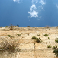 Kotel looking up