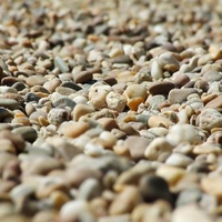 Beach Pebbles