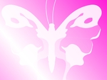 Butterfly - Pink