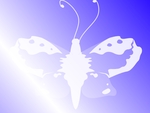 Butterfly - Blue