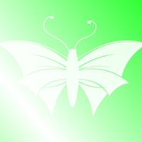 Butterfly - Light Green