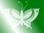Butterfly - Dark Green