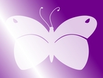 Butterfly - Purple