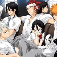 ichigo,rukia,renji,byakuya,hitsugaya,ukitake,hisagi