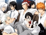 ichigo,rukia,renji,byakuya,hitsugaya,ukitake,hisagi