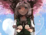 Konpaku Youmu
