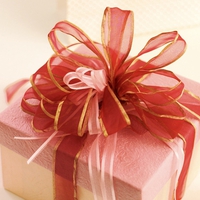 Happy Birthday, Roxanna â™¡