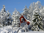 home in the snow