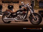 2010 Harley Fat Bob