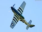 P51 Crazy Horse