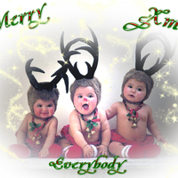 Christmas reindeer babies