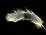 Æ¸ÌµÌ¡ÓœÌµÌ¨Ì„Æ· â™¥áƒ¦ abstract featheráƒ¦â™¥ Æ¸ÌµÌ¡ÓœÌµÌ¨Ì„Æ·