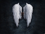 Angel wings