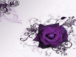 â˜¼Purple Dream Time Roseâ˜¼    4 Beth2shy