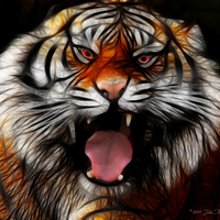 Angry Tiger