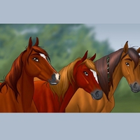 3 horses