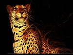 *â–â€abstarct jaguar â€áƒ¦*