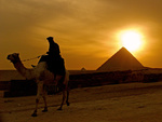 Pyramids,Camel, Desert