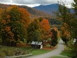 Vermont fall foliage.