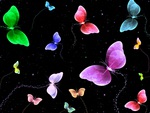 Butterflies