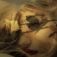 There are no Thorns on this Beauty