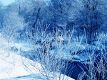 Winter River