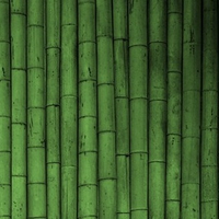 Bamboo
