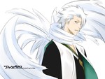 Hitsugaya Toushirou