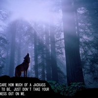 Go Ahead Be A Jackass