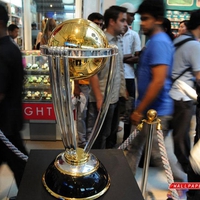 icc cup